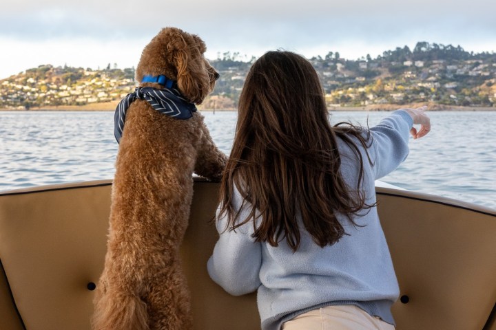 Woman and dog on a boat pointing towards a scenic hillside view.